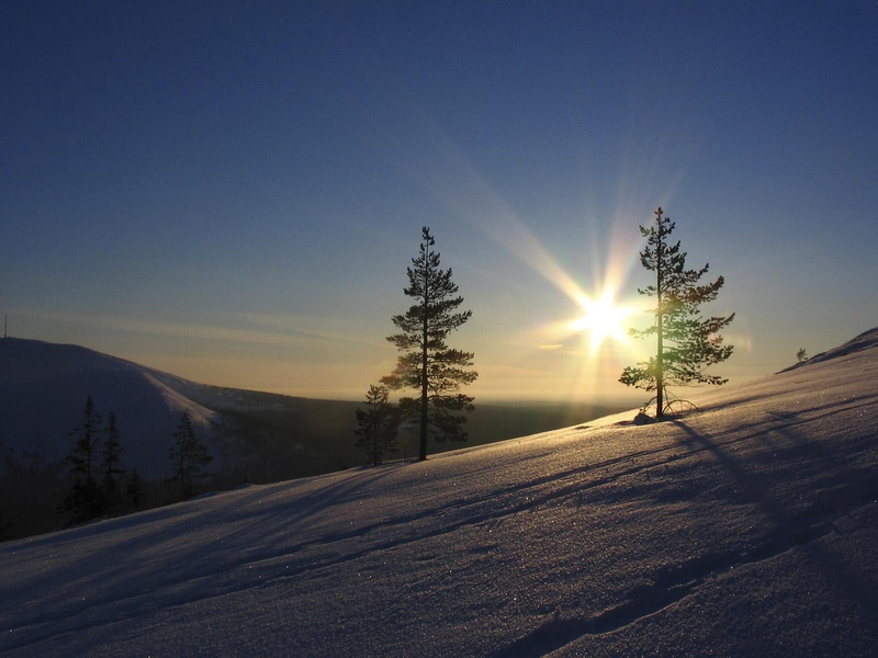 fir Tree, winter, morning, sunrise - Dawn, hill, snow, cold - Temperature, sky, land, no People, tree, tranquil Scene, season, vacations, environment, spruce Tree