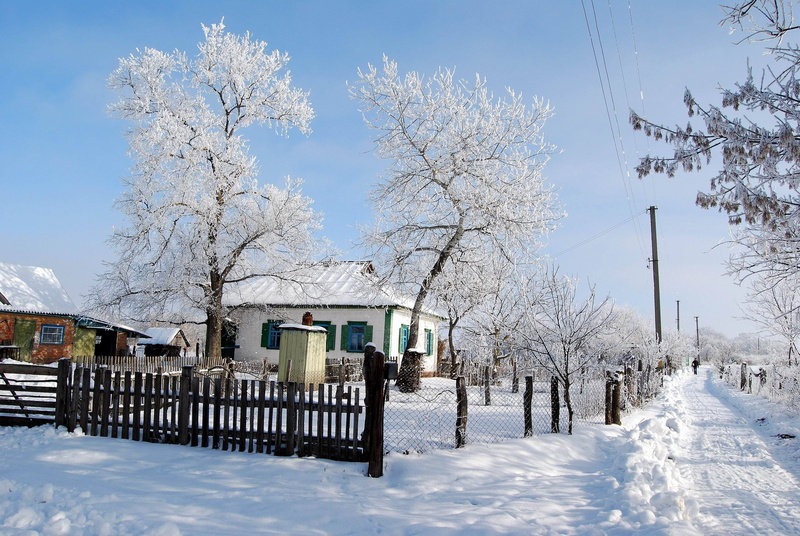 boundary, wood - Material, tree, tranquility, winter, architecture, building Exterior, day, ice, fence, no People, blue, sky, outdoors, built Structure