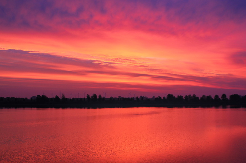 twilight, lake, purple, landscape, orange color, sky, tree, water, abendstimmung, 4K, silhouette, nature, evening sky, reflection, elbaue, idyllic, tranquility
