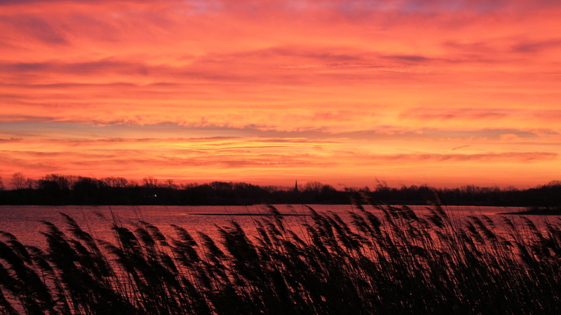 agriculture, prettin, Waters, cloud - sky, silhuette, plant, scenics - nature, beauty in nature, sky, 4K, Trees, Lake, environment, twilight, growth, nature