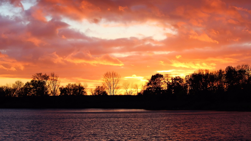 nature, plant, afterglow, non-urban scene, abendstimmung, scenics, tree, waterfront, silhouette, orange color, idyllic, Sunset, Trees, outdoors, dusk, dramatic sky