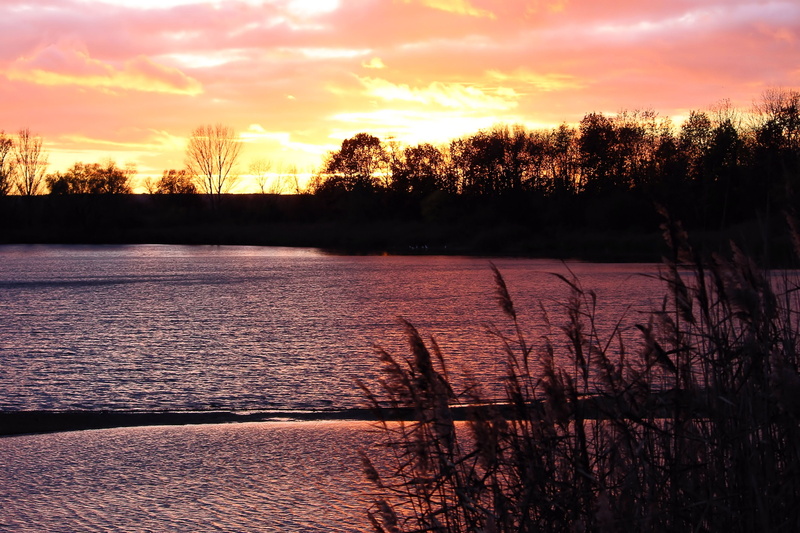 silhuette, cloud - sky, dusk, abendstimmung, nature, lake, beauty in nature, waters, tree, shadow, scenics - nature, plant, water, reflection, tranquil scene