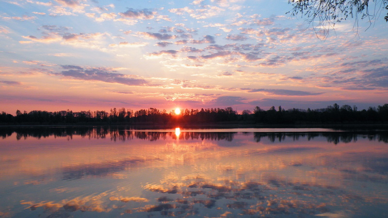 idyllic, sunset, water, plant, beauty in nature, sky, photography, outdoors, cloud - sky, no people, prettin, silhouette, reflection, elbaue, evening sky