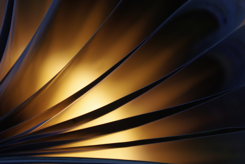 pattern, black color, leaf, abstract backgrounds, silhuette, close, close-up, blue, abstract, softness, yellow, motion, 5K, textured, backgrounds, illustration