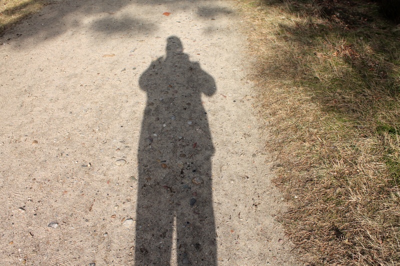 silhuette, standing, day, plant, one person, shadow, ground, outdoors, real people, focus on shadow, high angle view, man, sunlight, lifestyles, nature