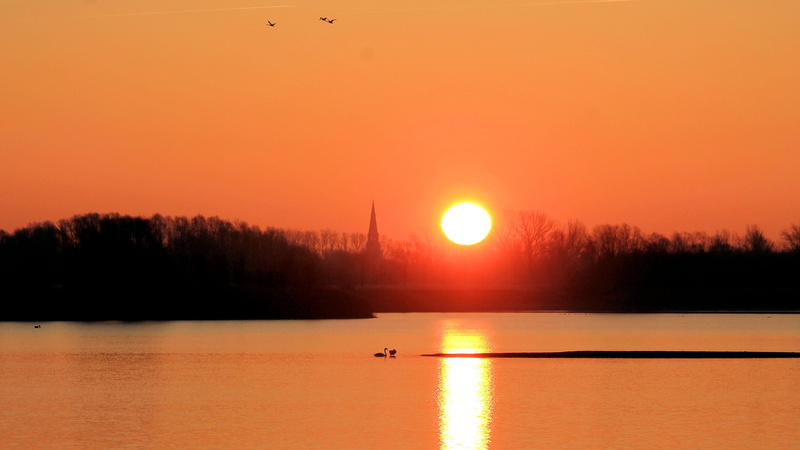 trees, animals in the wild, orange color, plant, landscape, prettin, lake, sun, skies, sunset, silhouette, animal themes, tree, reflection, 4K, winter sunrise