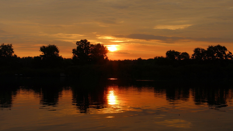 reflection, plant, sunset, scenics - nature, silhuette, non-urban scene, 4K, dusk, beauty in nature, evening sky, trees, lake, silhouette, sky, waterfront