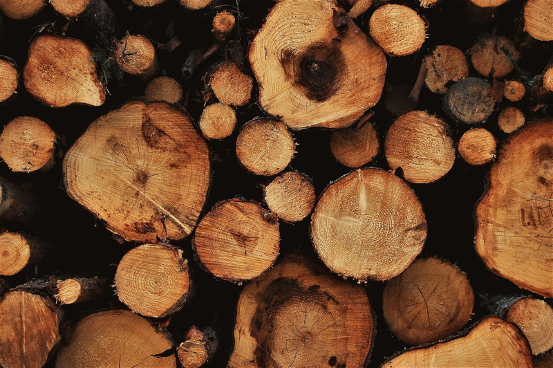 2K, fuel and power generation, lumber industry, stack, abundance, woodpile, outside, forest, full frame, close-up, log, tree, sweden, textured, large group of objects