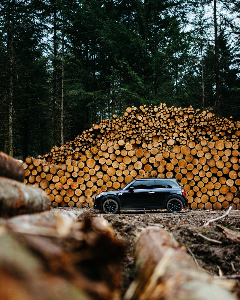 fir trees, day, lumber, environmental issues, 4K, tree, stacked wood, land, woods, firewood, pine trees, forest, timber, near, log, tree trunks, mode of transportation