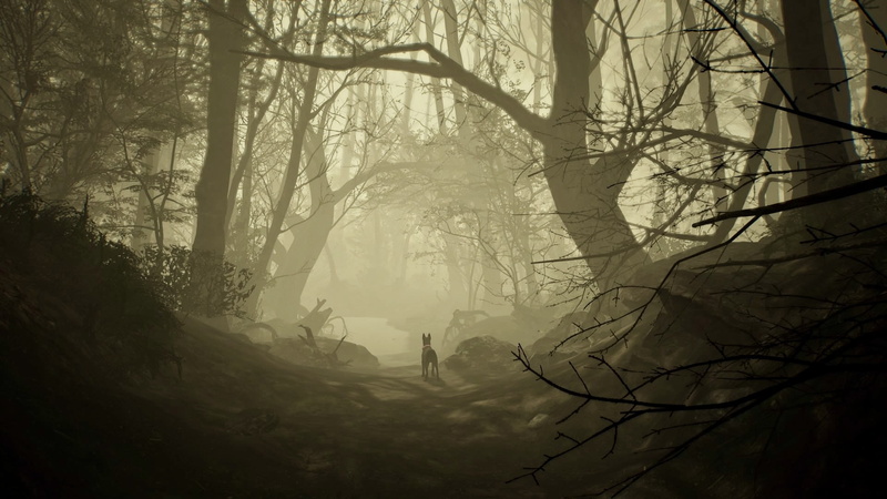 Blair Witch, PlayStation 4, video games, 1080P