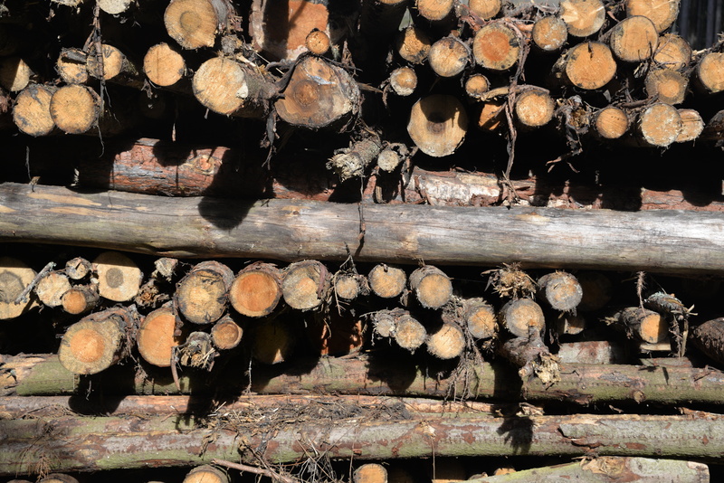 stack, forest, day, timber, material, aesthetic, full frame, tree Trunk, background, woodpile, environmental issues, rustic, abundance, wood - Material