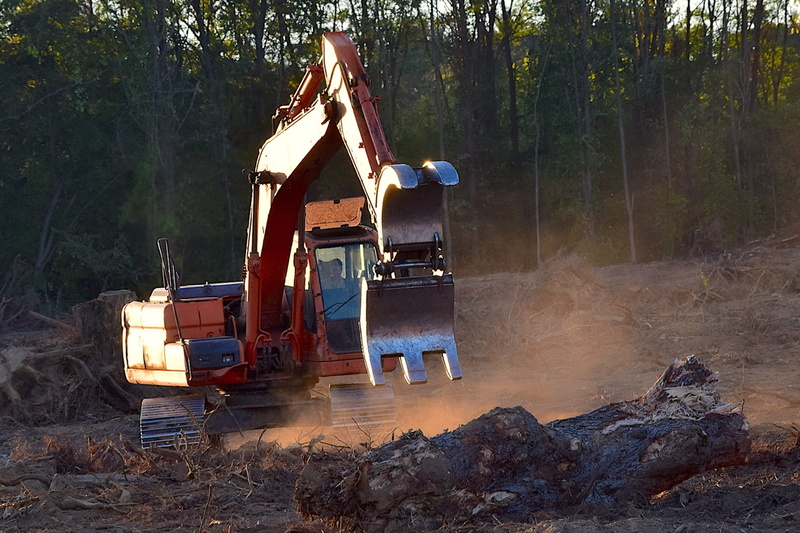 lumber, equipment, excavator, tree, forest, plant, land, machinery, machine, sunlight, industrial, construction machinery, forestry, construction, land vehicle