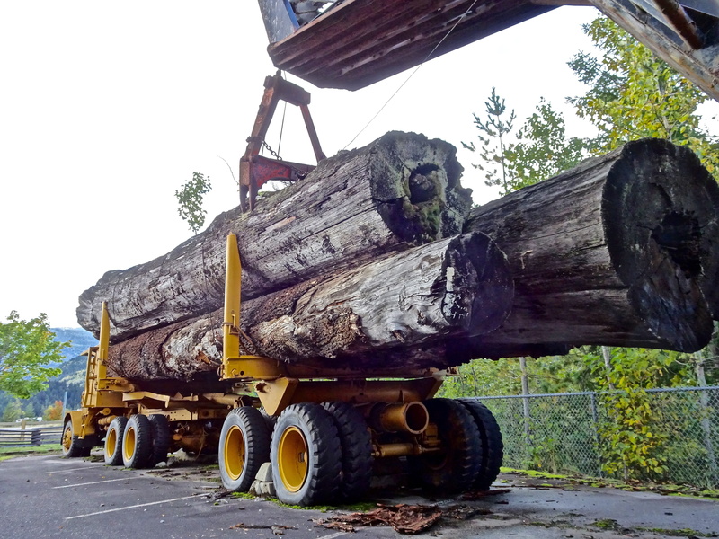 obsolete, logs, truck, Logging, decline, transportation, tire, damaged, abandoned, Timber Truck, tree, construction industry, day, 4K, yellow, equipment
