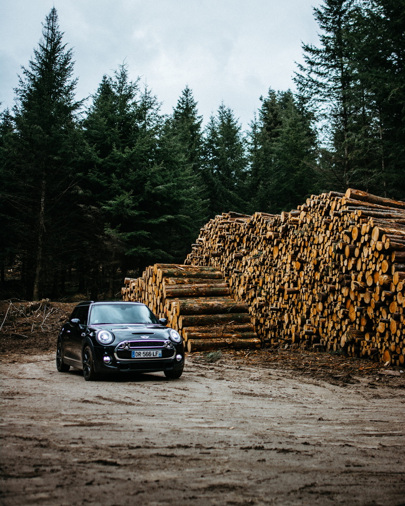 lumber industry, outdoors, wood - material, lumber, tree, land vehicle, near, transportation, logs, 4K, deforestation, no people, vehicle, plant, automobile