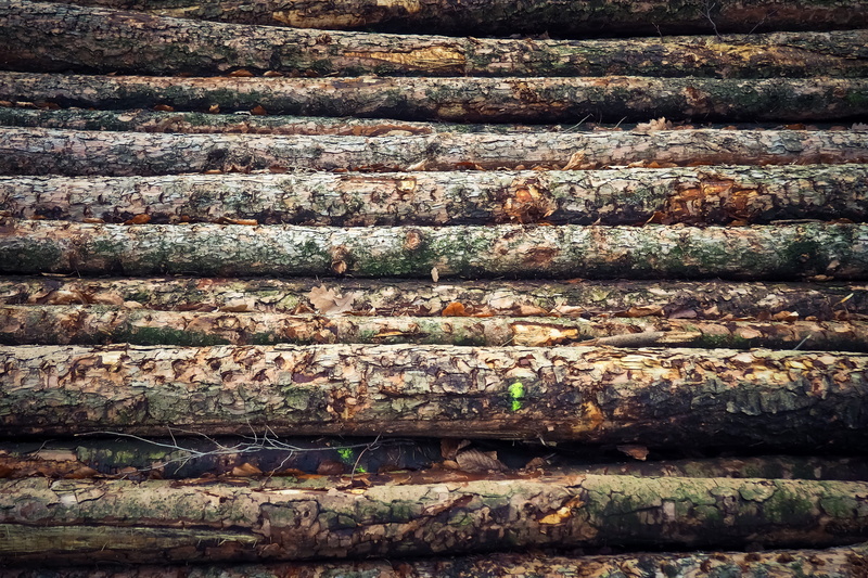 log, full frame, architecture, deterioration, wood - material, texture, in a row, backgrounds, firewood, old, forest, abundance, stack, holzstapel, section