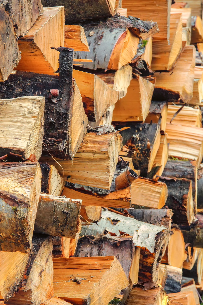 timber, wood chop, piled up, spruce, wood, deforestation, day, tree, fossil fuel, tree trunks, full frame, lumber, firewood, large group of objects, timber harvesting