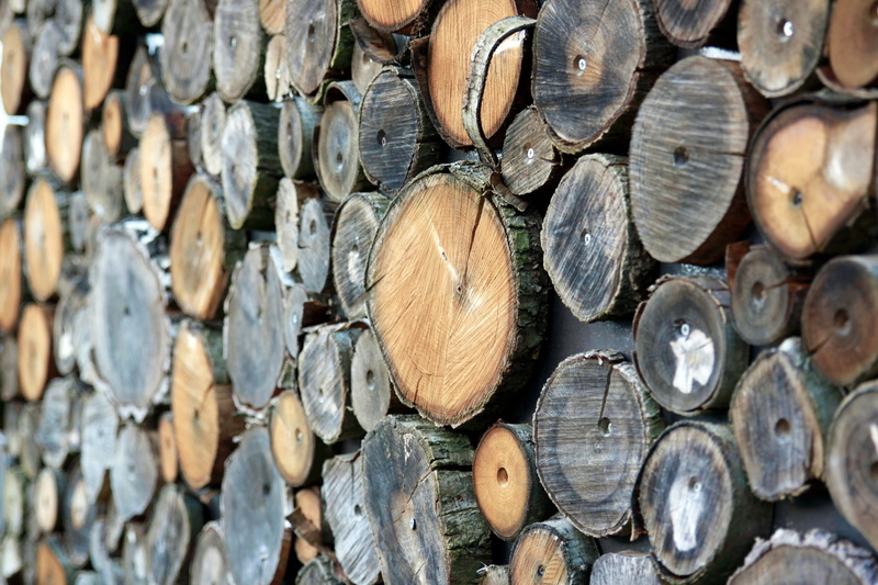 holzstapel, close-up, tree trunks, forest, full frame, saw, oak, pattern, tribe, brown, shape, stacked up, combs thread cutting, woodworks, no people, tree