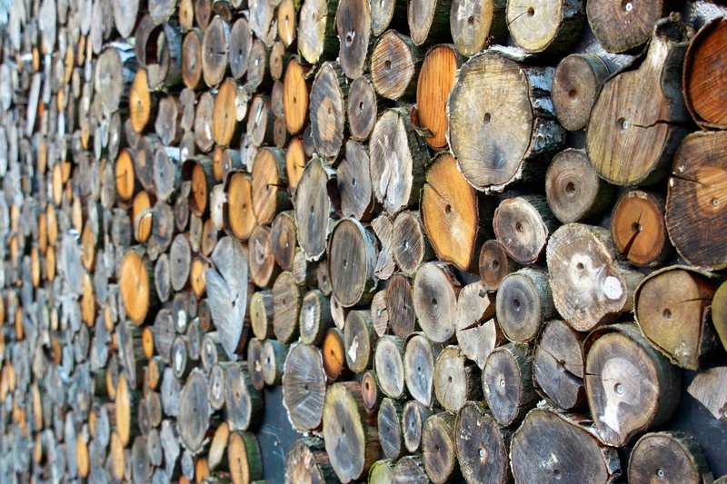 storage, strains, wooden pallets, close, raw material, 4K, combs thread cutting, wood - material, stumps, forest, stack, tree, stacked up, trunk, log