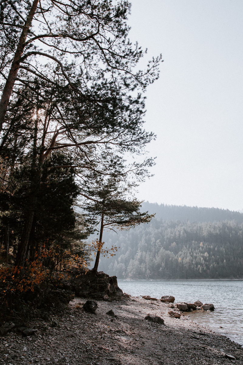 fir, plant, idyllic, austria, spruce, outdoors, beauty in nature, sky, larch, tranquil scene, land, 4K, mountains, water, promontory, nature, tree, woods