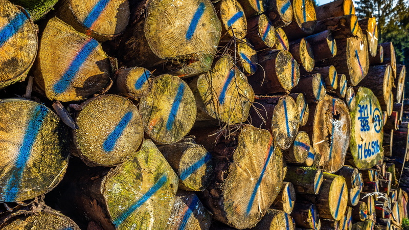 textured, timber, fishing industry, strains, still life, stack, 5K, day, large group of objects, fishing, retail, outdoors, arrangement, market, full frame