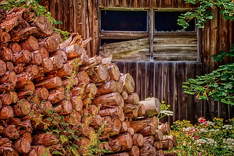 tree, old, leaf, holzstapel, day, stack, stacked up, wood, stacked, wall - building feature, growing stock, tribe, strains, boards, combs thread cutting