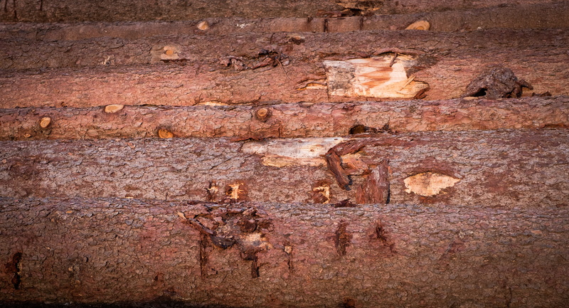 day, deterioration, wall - building feature, wood, structure, holzstapel, strains, tree, tree trunks, texture, history, nature, full frame, architecture