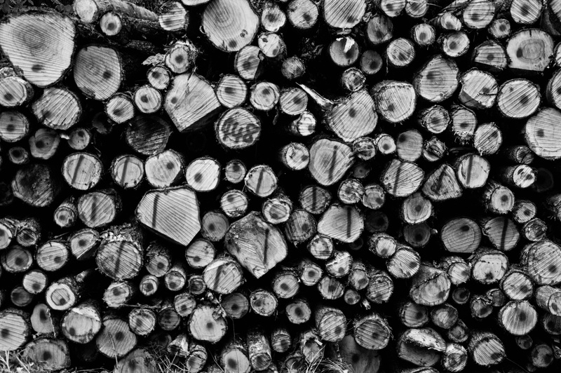 fire, like, 5K, stock, bark, holzstapel, tower, abundance, pile of wood, wood stack, strains, fuel and power generation, deforestation, large group of objects