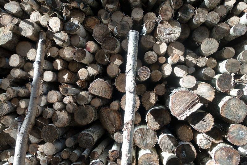 tree, backgrounds, large group of objects, stock, no people, heap, like, textured, fuel and power generation, storage, outdoors, growing stock, firewood