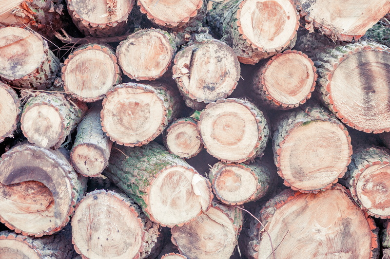 brown, circle, tree, wood - Material, 4K, sawed off, nature, material, timber, tree ring, cross Section, stack, lumber Industry, full frame, log, abundance