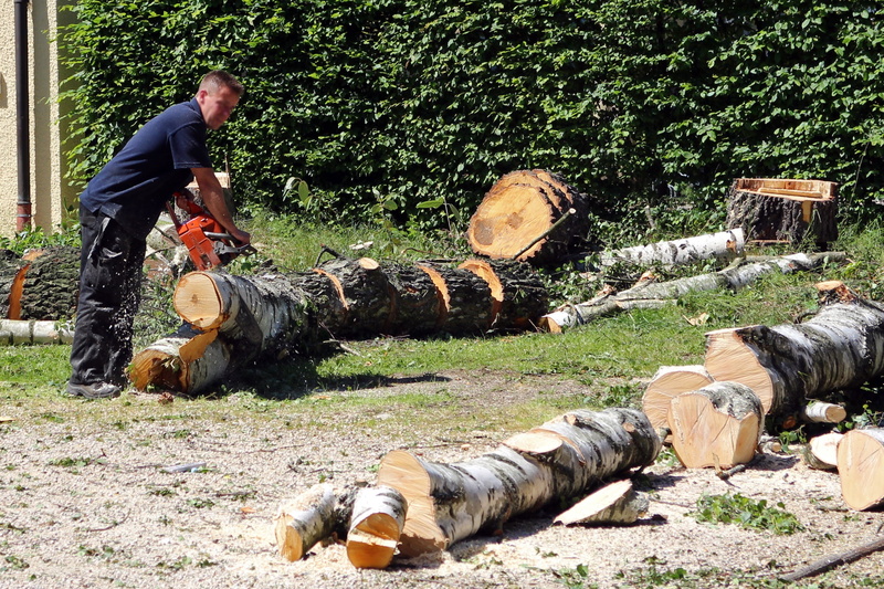 nature, males, wood, people, land, tribe, landscape gardener, day, log, forest, chainsaw, timber, wood - material, working, workers, men, saw, lumber, lumberjack