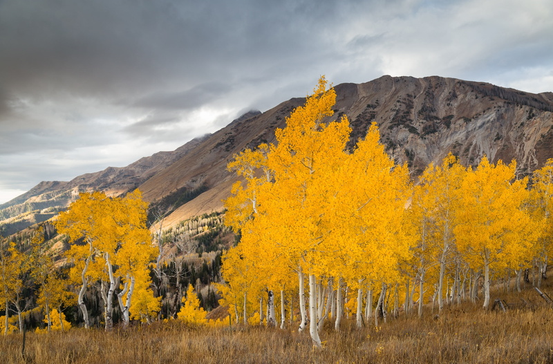 landscape, beauty in nature, Autumn, Mountain, Nebo, tranquility, Colors, mountain range, Range, land, scenics - nature, Photography, aspen, Fall, Contrast