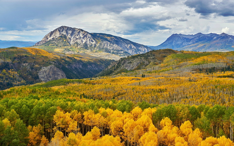 desktop, trees, 4K, america, tv, pass, colorado, hd, states, mobile, kebler, laptop, aspens, tablet, phones, united, ultra, forest, k