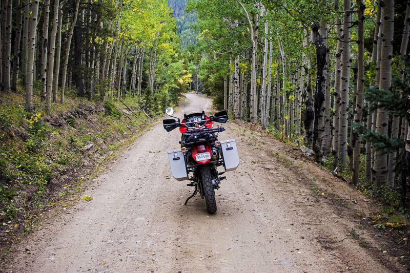 motorcycle, one person, crash helmet, leisure activity, aspen trees, mode of transportation, land vehicle, riding, dirt road, outdoors, ride, fall, backcountry