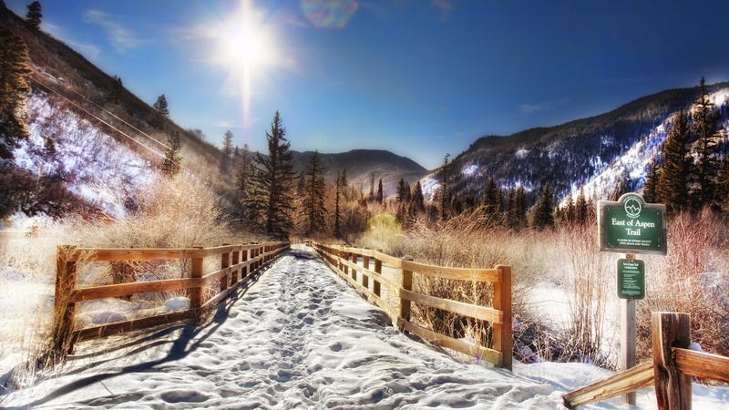 trees, Colorado, landscape, 4K, forest, snow, nature, sunlight, Aspen, fence, mountains