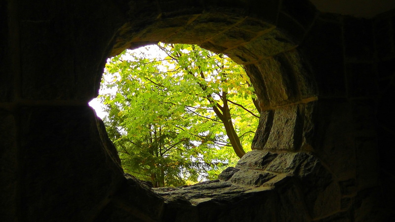 1080P, bricks, wall, trees, leaves, daylight, hole