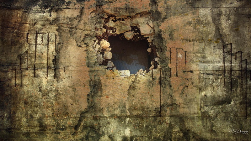 vintage, dirty, grunge, firefox persona, 1080P, animals, wall, hole