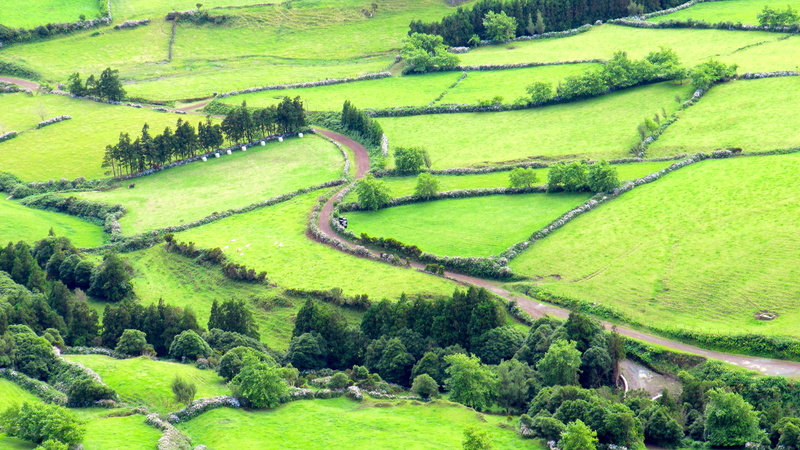 plantation, acores, road, portugal, açores, flores island, farm, environment, flores, azores, non-urban scene, plant, agriculture, rural scene, high angle view
