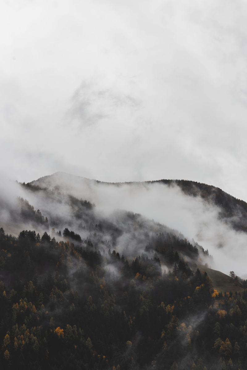 weather, nature, dawn, storm, environment, cloud - sky, high angle shot, day, landscape, mountain peak, tree, mist, sky, power in nature, non-urban scene