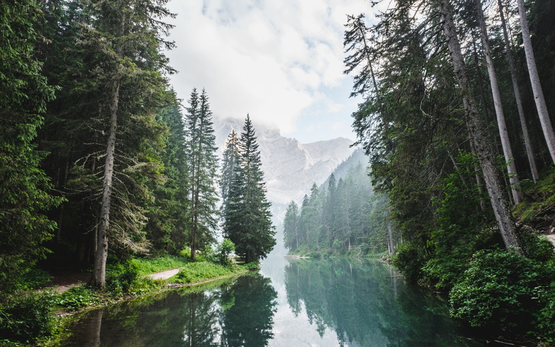 download 3840x2400 trees, Forest, 4K, clouds, lake backgrounds, trees