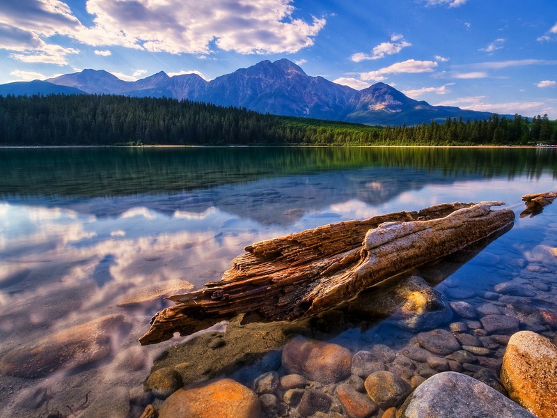 forest, day, mountain Range, national Park, tourism, mountain, color Image, environment, vacations, wilderness Area, tree, water, water smooth surface