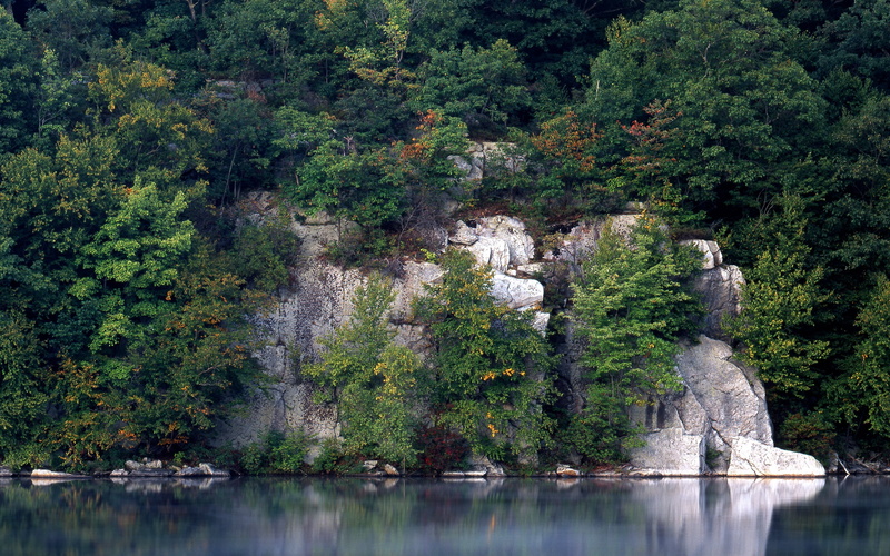 cliff, growth, rock, stream, river, waterfall, scenics - nature, rocks, mountain, water smooth surface, summer, plant, 2K, tranquil scene, beauty In Nature