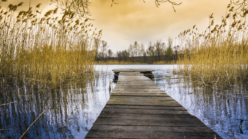 scenics, the way forward, tranquility, no people, beauty in nature, footpath, day, wood, reflection, reed - grass family, tree, long, direction, tranquil scene