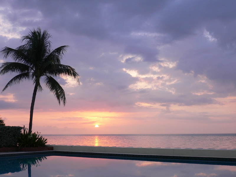 dusk, ocean, decline, backgrounds, nature, cloud - Sky, scenics, evening, water smooth surface, land, scenics - nature, relaxation, day, coconut Palm Tree