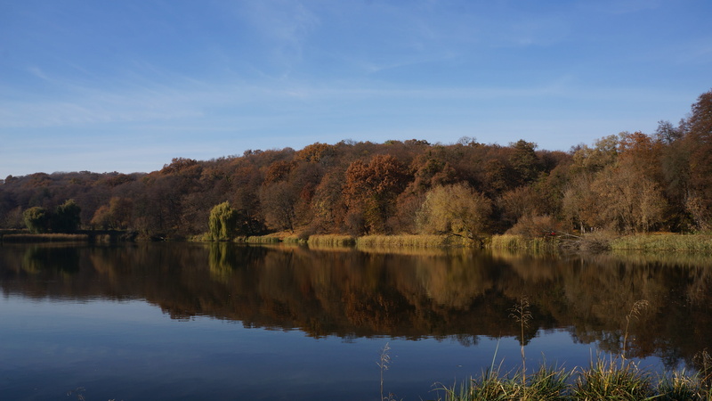 tranquil scene, plant, scenics - nature, non-urban scene, water, ukraine, tranquility, Landscape, waterfront, standing water, forest, reflection, smooth surface