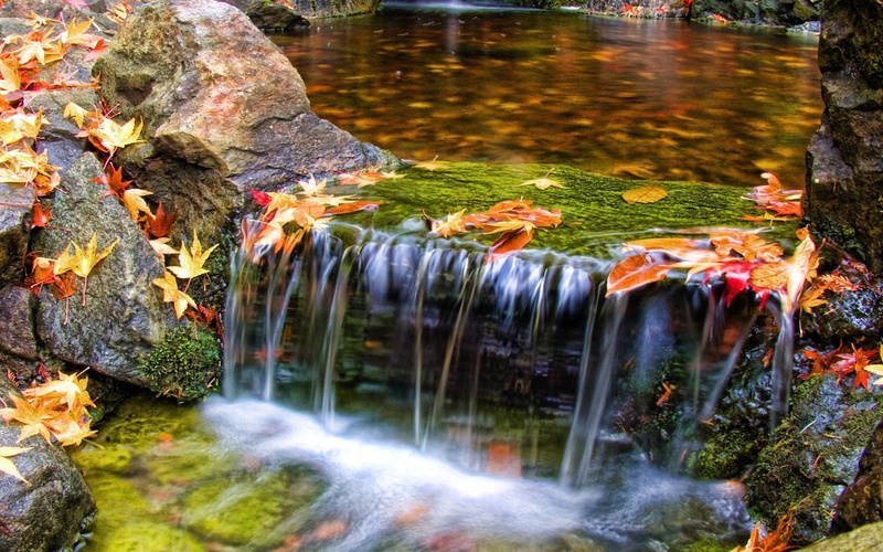 gardens, waterfall, scenery, 2K, butchart, nature, beautiful