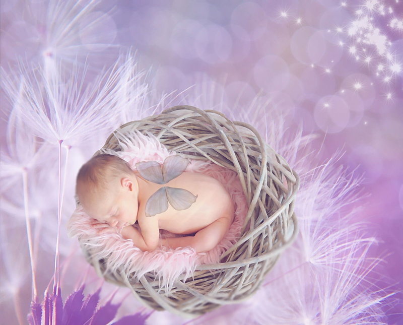 fragility, hairstyle, star, sweet, 1080P, wing, photo montage, mood, sleep, young adult, hair, abstract, fur, plant, vulnerability, lying down, baby, dandelion