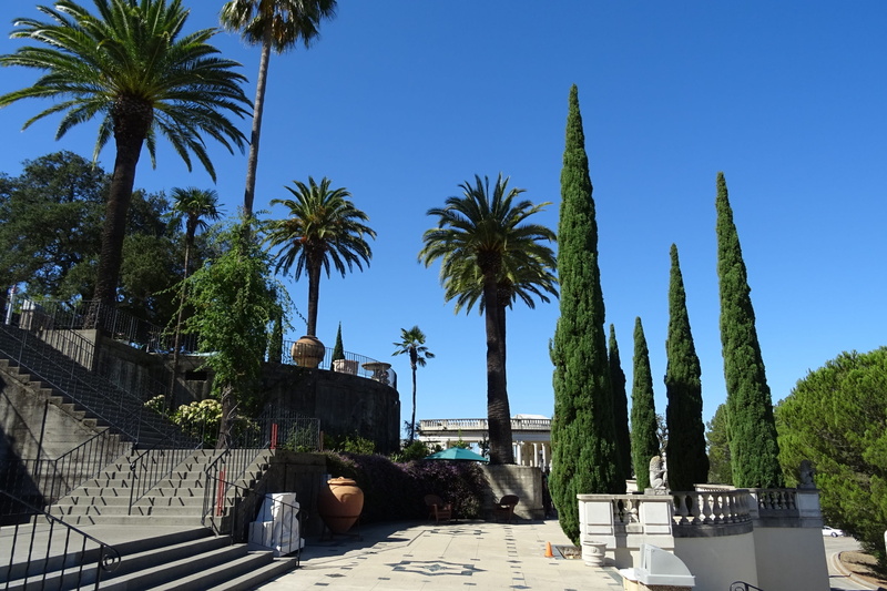 america, palm, nature, city, growth, san simeon, ranch, plant, monterey, low angle view, clear sky, outdoors, castle, religion, architecture, sky, palmera canaria