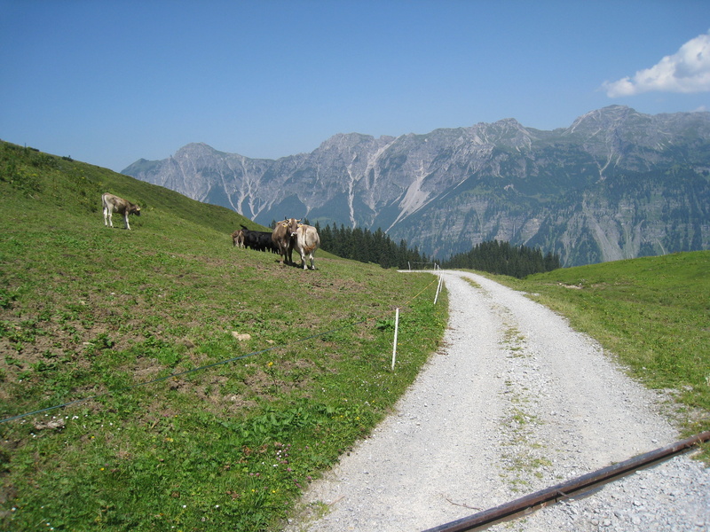 nature, beauty in nature, livestock, domestic, 2K, animal, no people, mountain, scenics - nature, mountain range, domestic animals, transportation, alpe