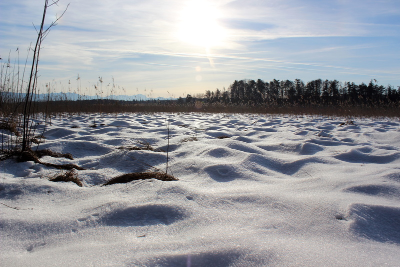 berge, landscape, sky, land, hiking, iffeldorf, cold temperature, frozen, winterwonderland, germany, non-urban scene, tree, beautiful, sunlight, scenics - nature
