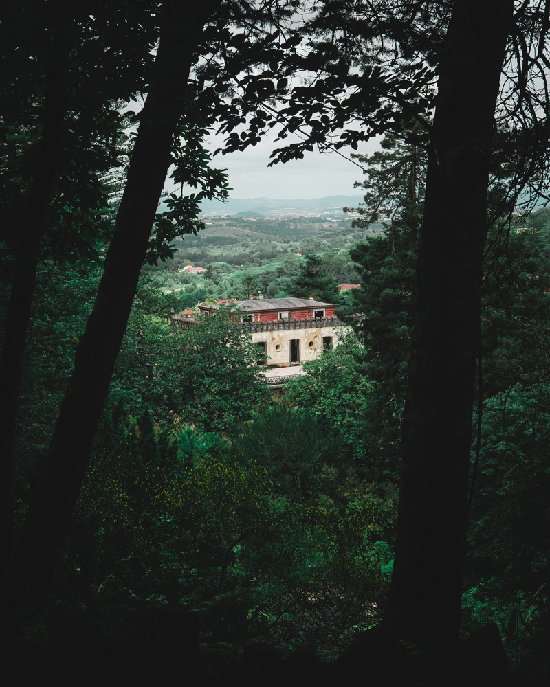 forest, green color, no people, plant, tranquil scene, built structure, building, tree, green, vertical, landschaft, building exterior, scenics - nature